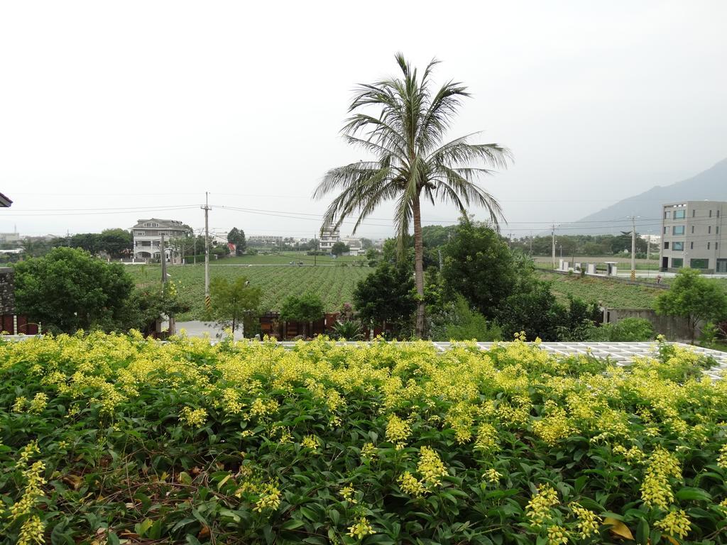 花蓮 達芙妮花園民宿 Ji'an Eksteriør billede